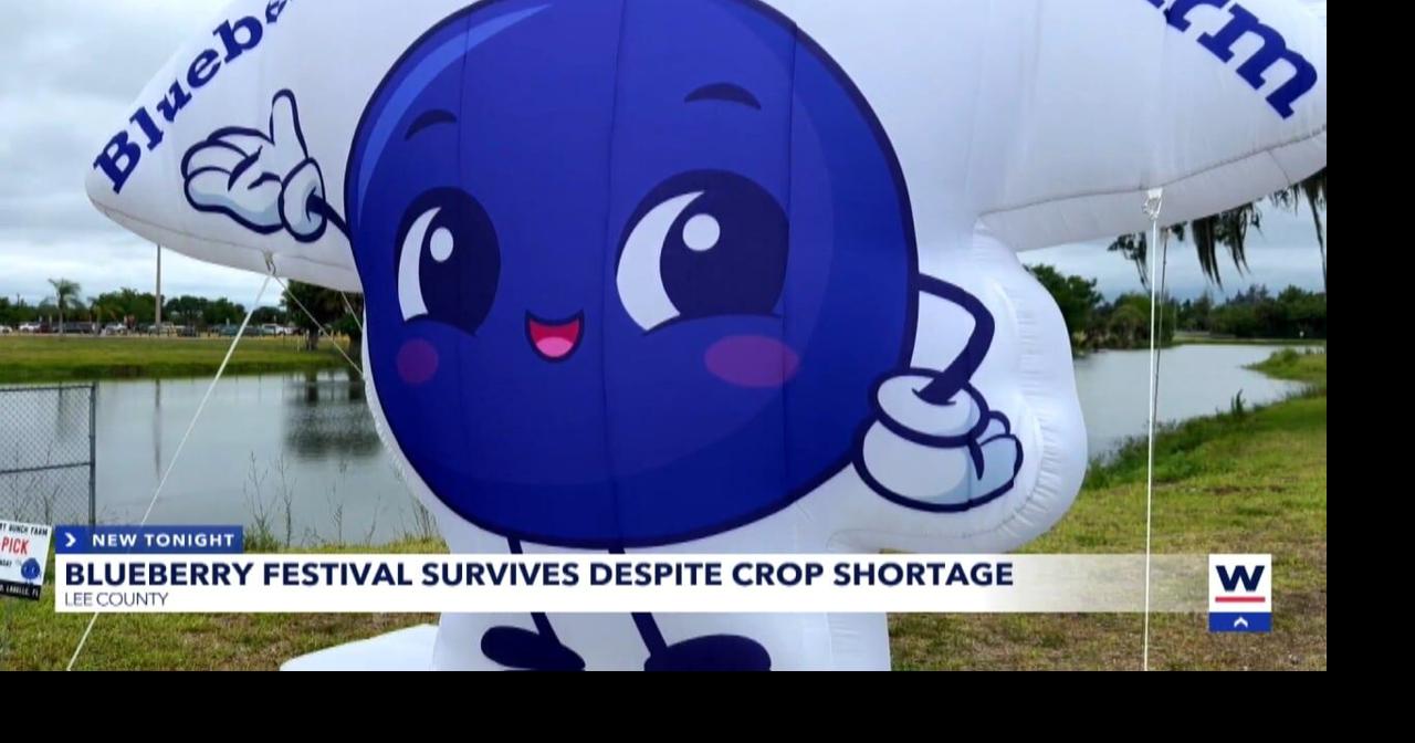Florida freeze forces Fort Myers Blueberry Festival to find new supplier