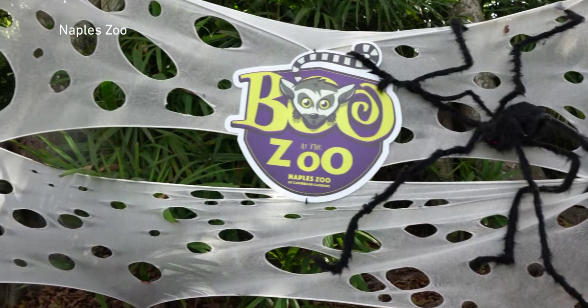 Coller Boo Last weekend of “Boo at the Zoo” at Naples Zoo | Collier County ...