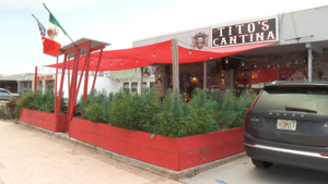 Tito’s Cantina Ceases Operations in Cape Coral