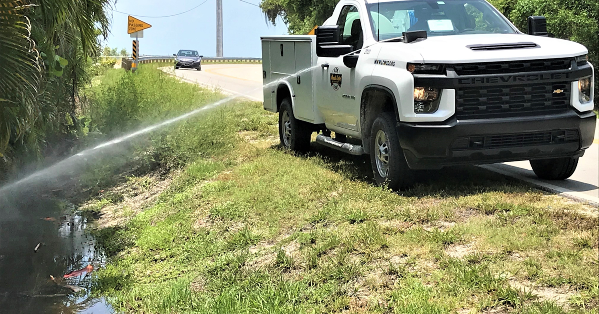 Drought creates perfect conditions for mosquito explosion