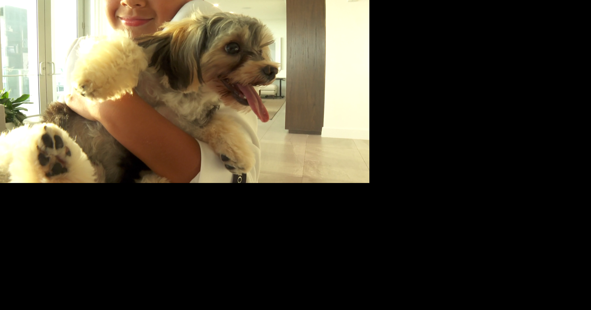 SWFL family spends $50K to clone their dog after he died of cancer