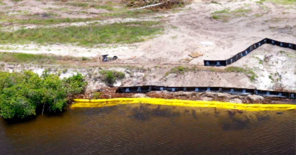 Cape Coral developer says contractor mistakenly removed mangroves