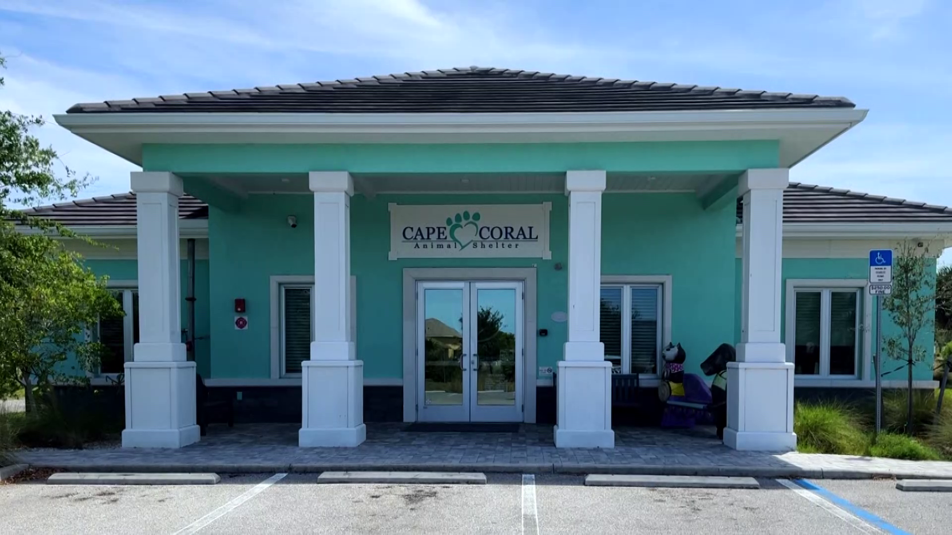 Cape Coral Animal Shelter launches resource hub to aid other rescues ...