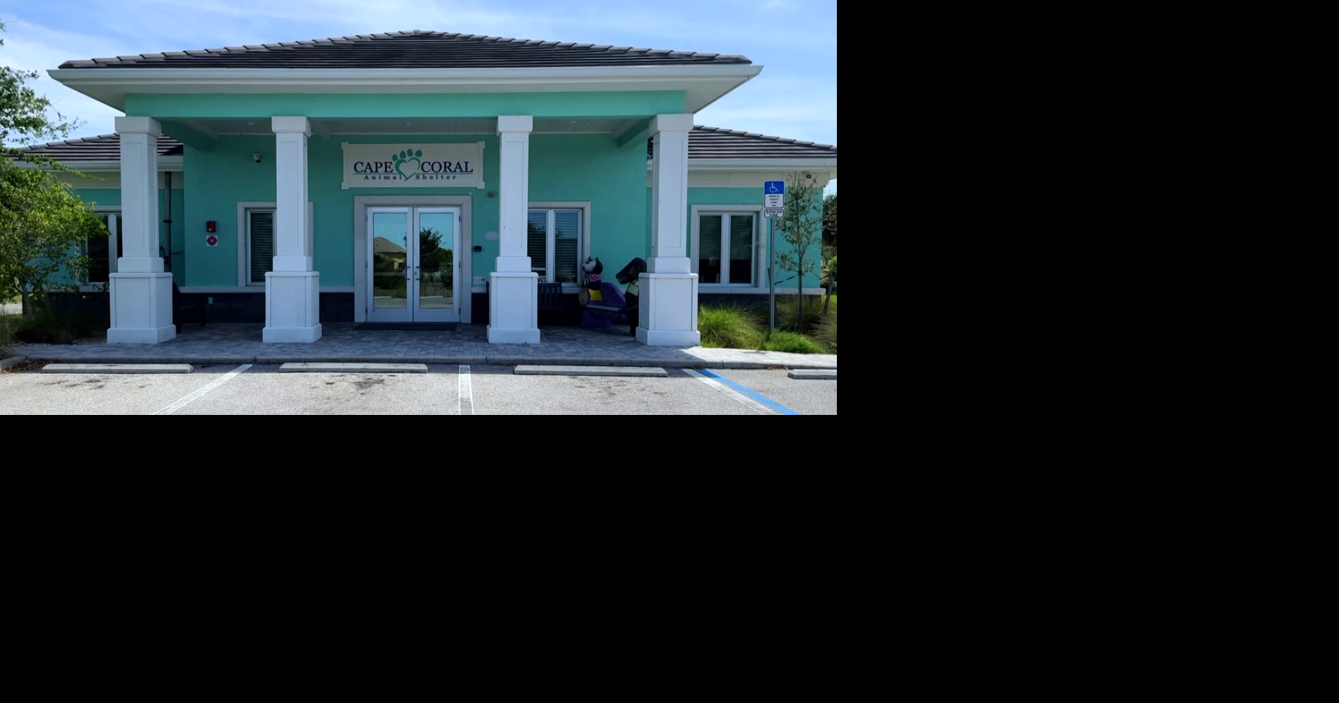 Cape Coral Animal Shelter launches resource hub to aid other rescues