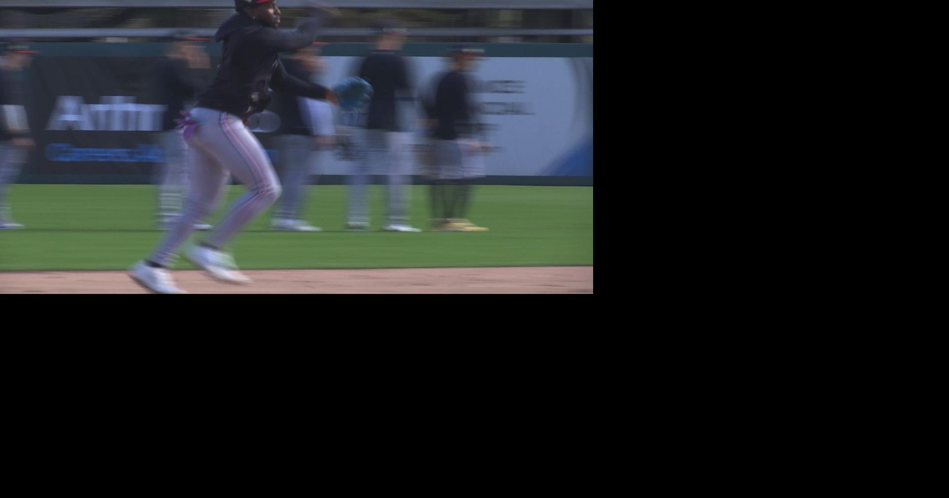 Twins host open house for first full squad workout