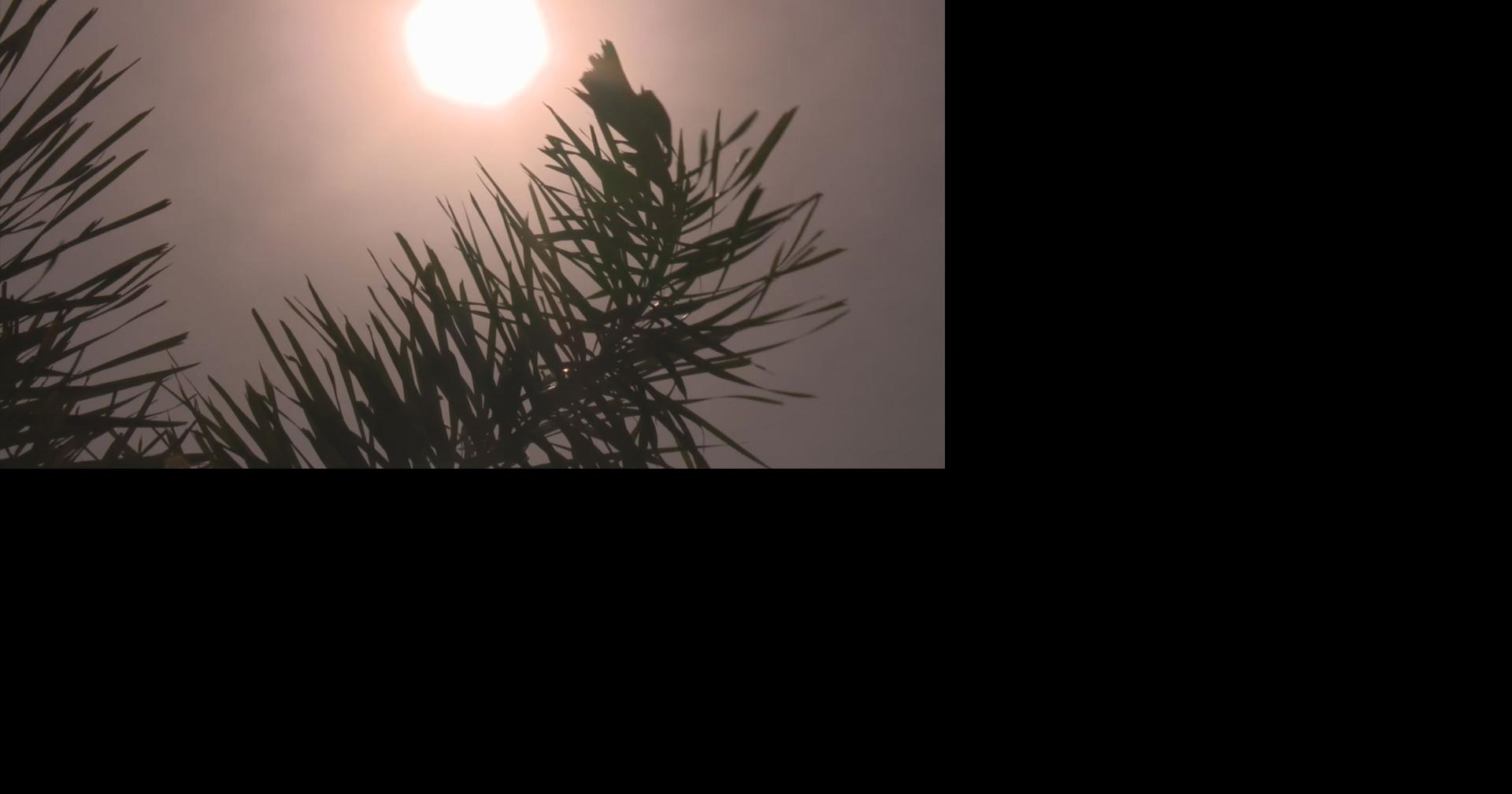 Read moreSWFL heat advisory: Fort Myers Shores community ditches most outdoor activities