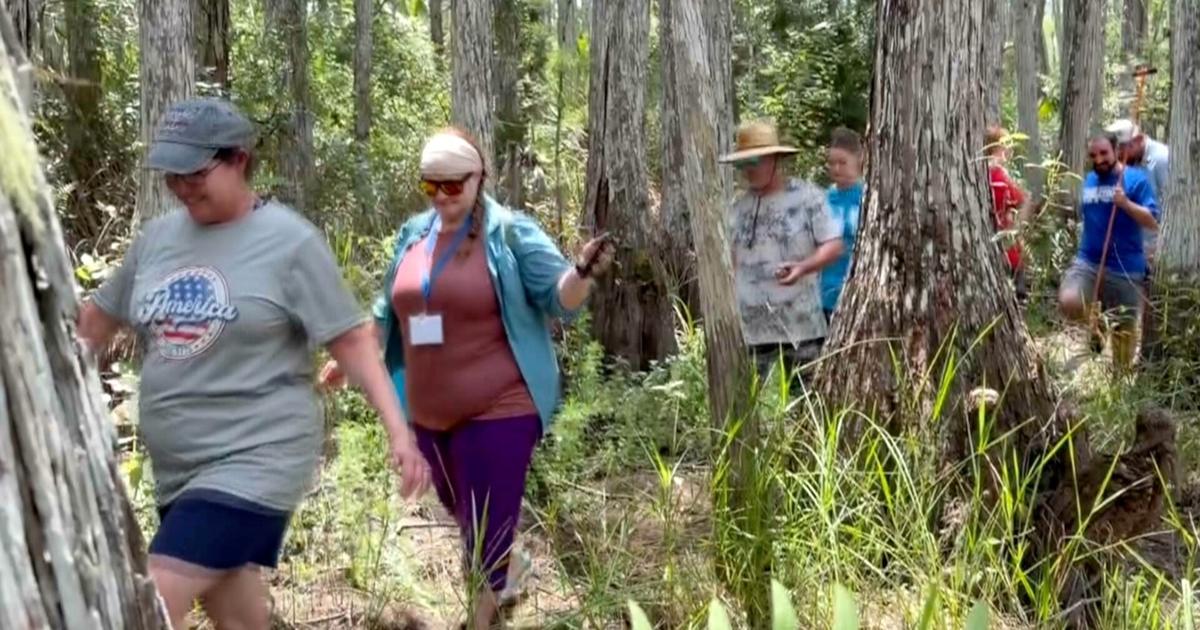 Teachers trade classrooms for muddy swamp at FGCU's hands-on summer camp