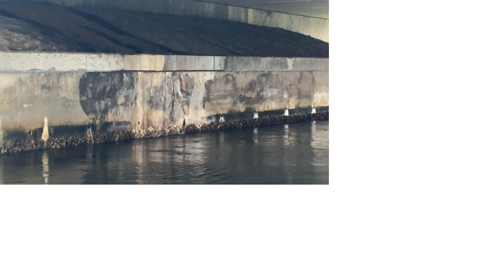 Read more Cape Coral water leak fixed after months of wasted water