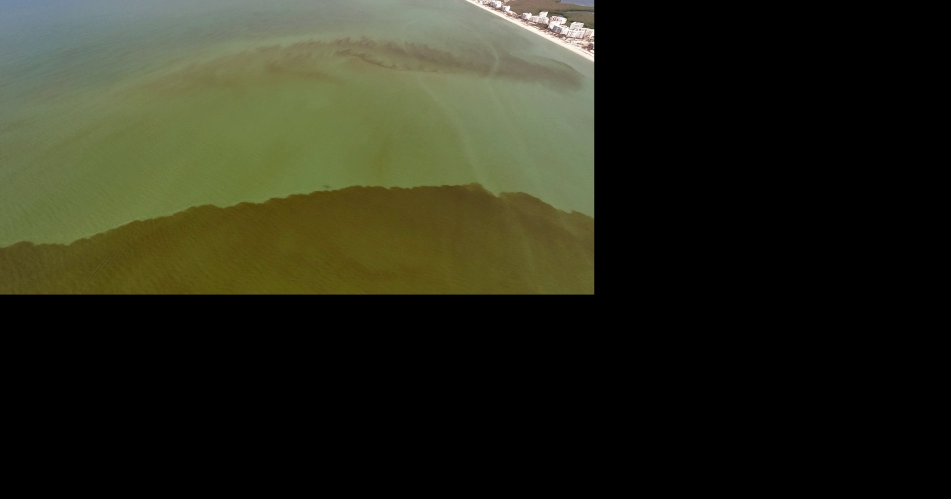 Florida researchers test floating filters to stop red tide before it starts
