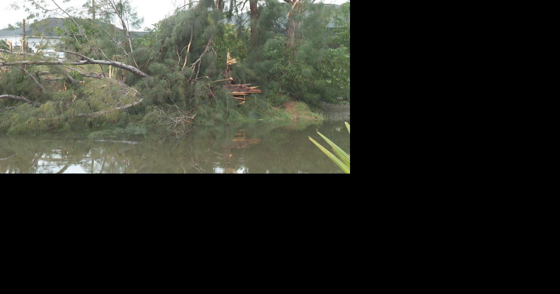 Cape Coral neighbors recovering after tornado swept over neighborhood