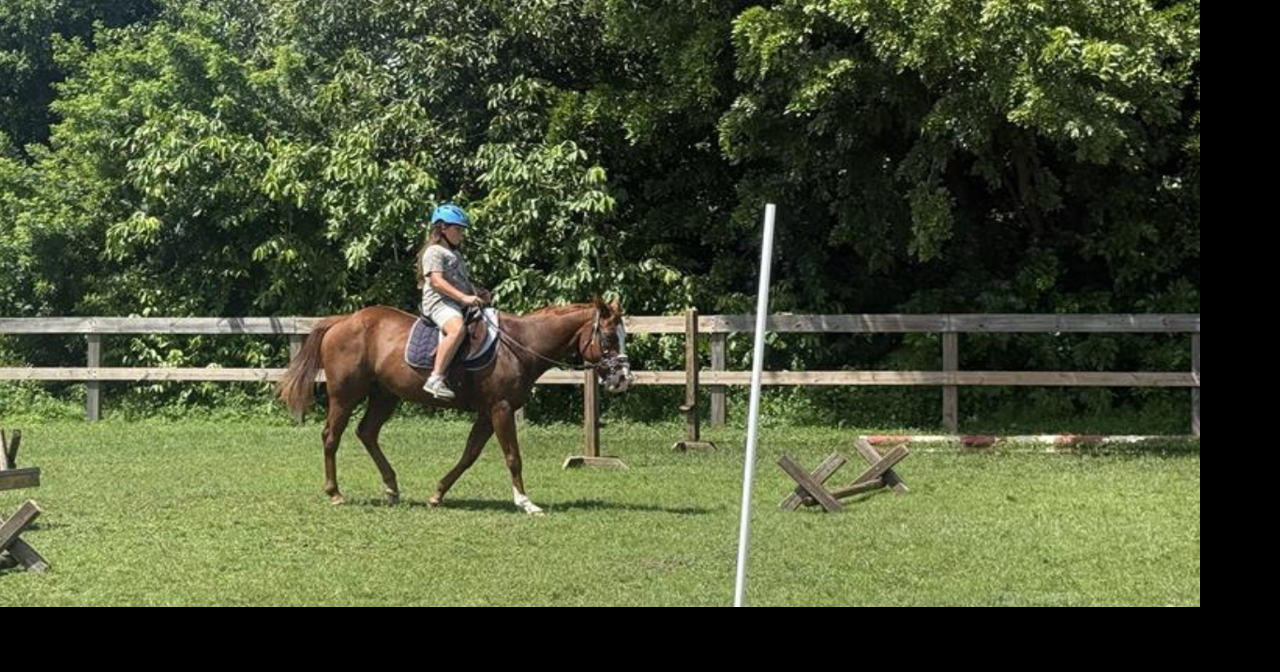 Cape Coral officer resigned before arrest in rescue horse resale scheme
