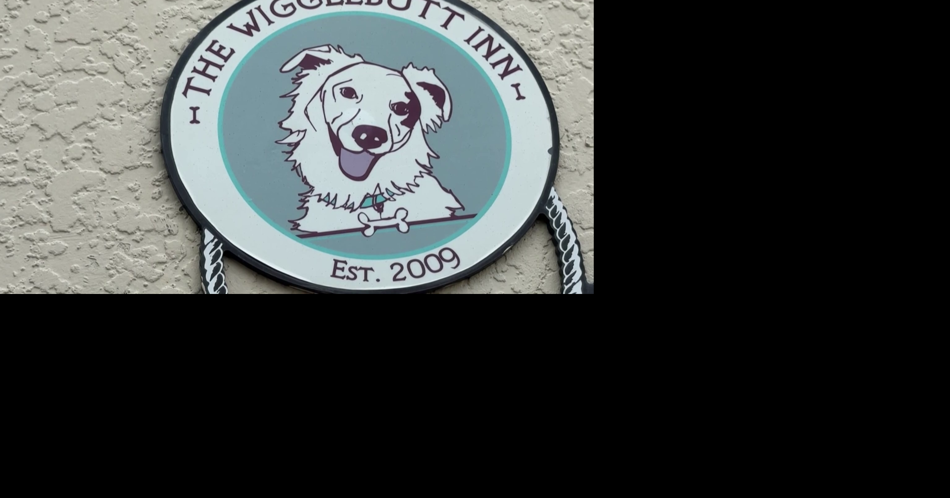 Collier County shortens stray hold time for pets without microchips