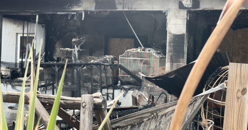 North Port fire exposes years of animal complaints at home