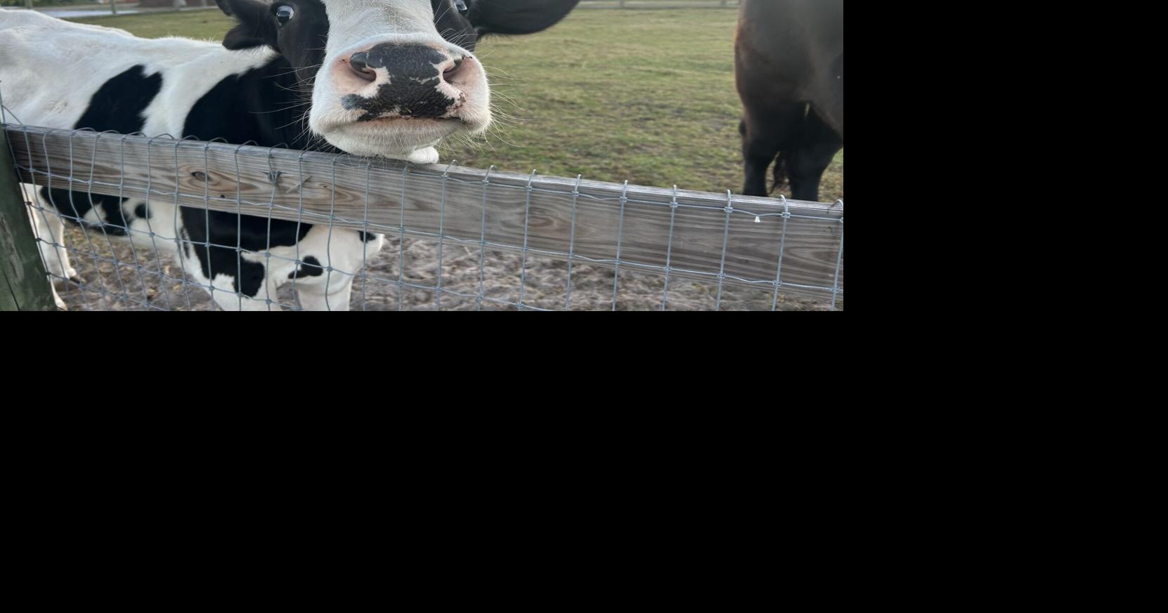 Southern Fresh Farms Grows Into Its Next Chapter