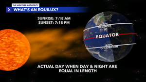 Equilux Concept Gains Local Attention in Fort Myers-Naples Area