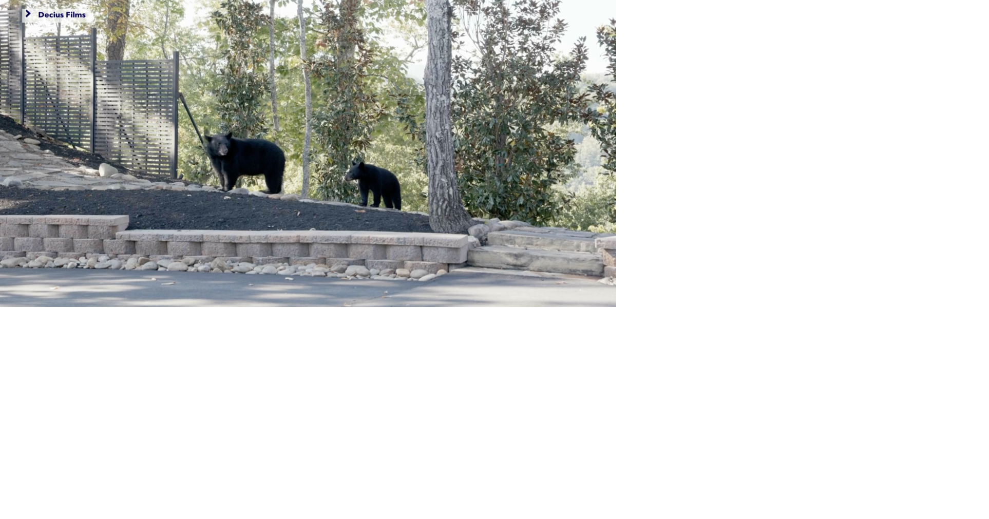 Read more Bears crash wedding of Fort Myers couple