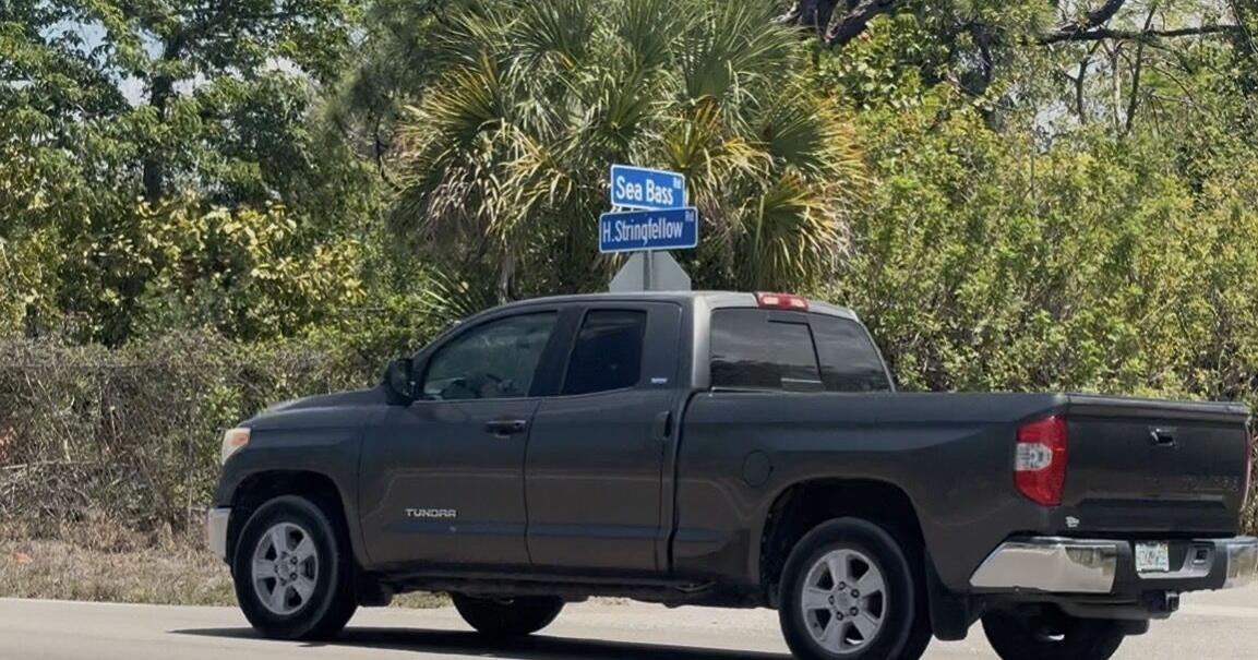Read more Pine Island woman pushes for changes after 126 crashes on Stringfellow Road