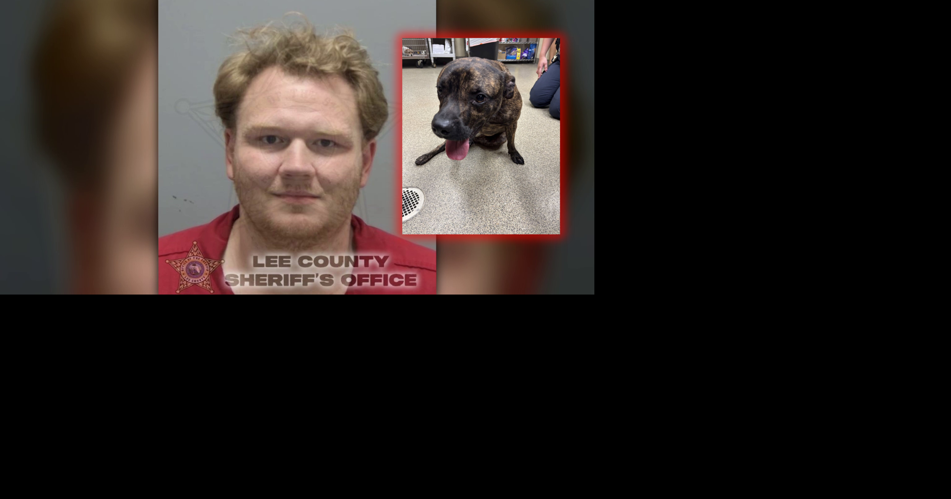 Dog goes 4 days without medical care after being hit by a car; owner arrested