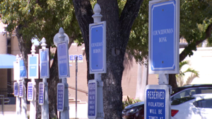 Fort Myers Council Walkout Raises Free-Speech Concerns
