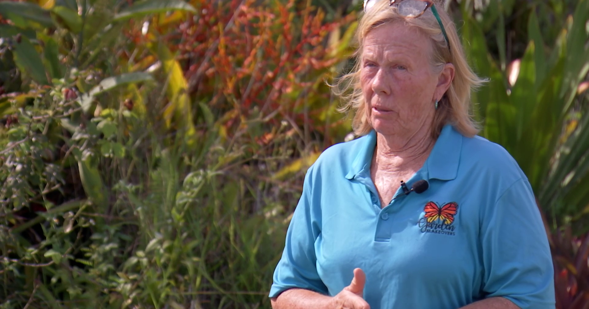 Funding questions raised after homeowners denied for Elevate Florida program