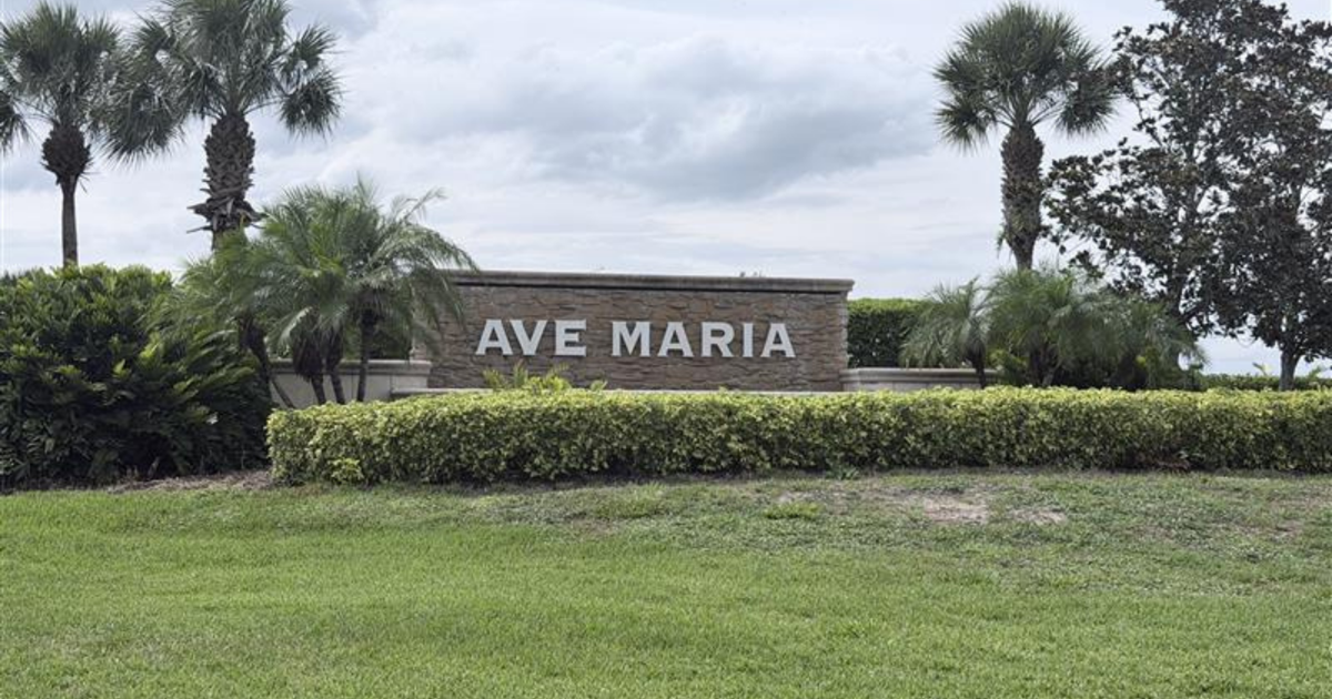 Ave Maria approved for 6,738 more homes despite concerns over timing