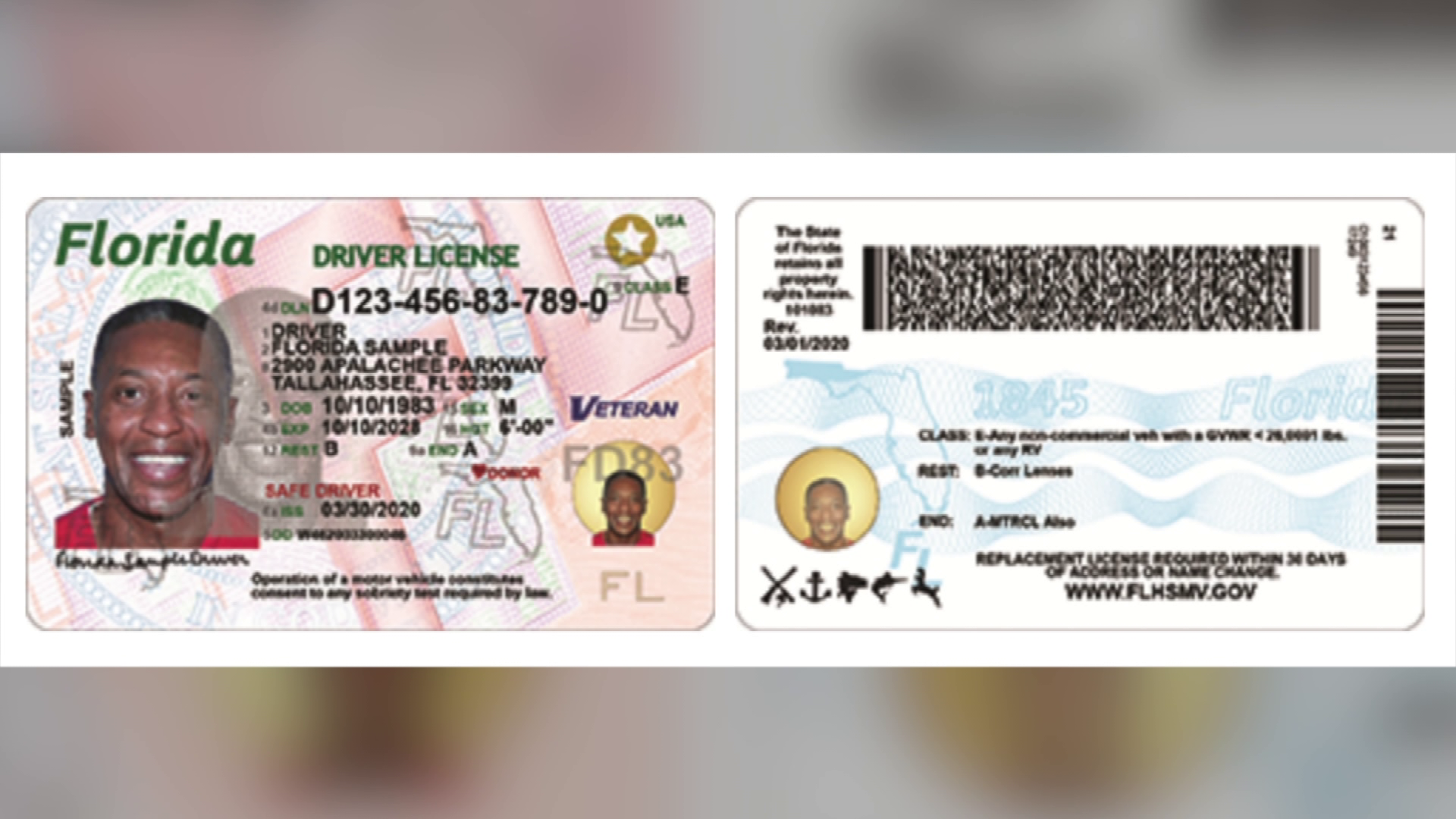 Florida to include citizenship status on driver licenses | State ...