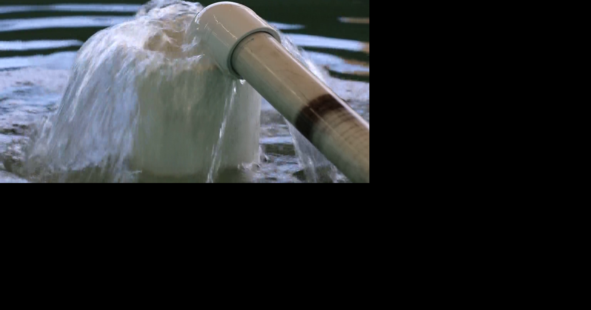 FGCU students resume critical research at restored Vester Field Station