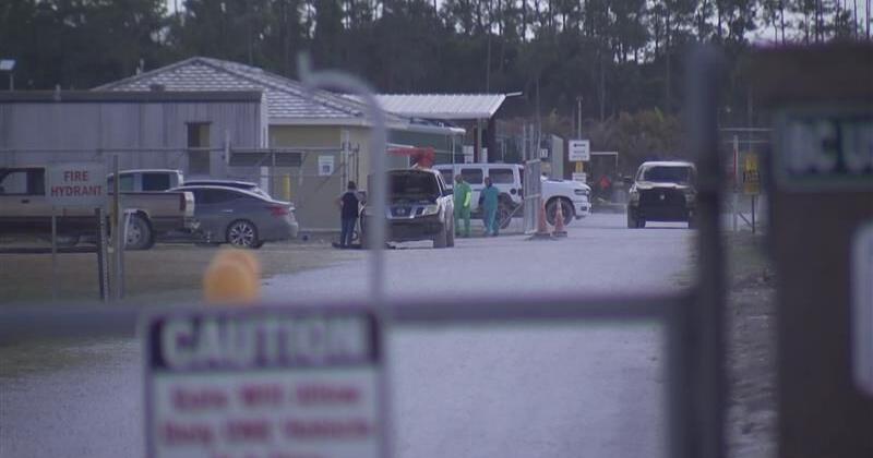 Read more Immokalee biomedical facility president charged after monkey thrown in dumpster