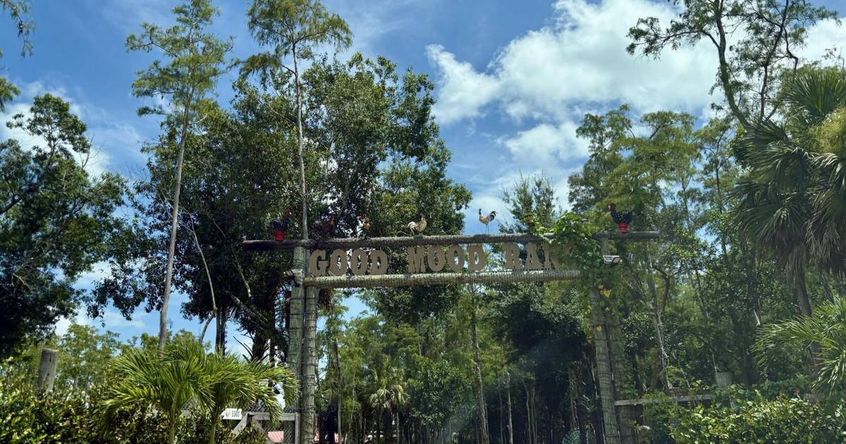 Collier County's Good Mood Ranch faces... | SWFL News