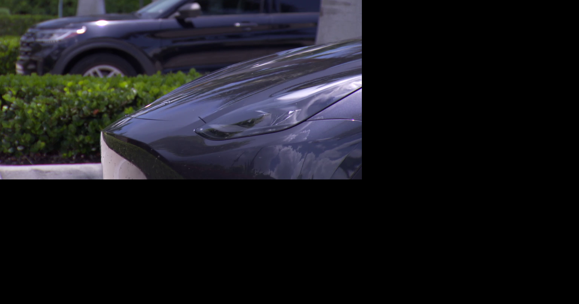 Naples police urge parents to act fast as hot car deaths reported in Florida