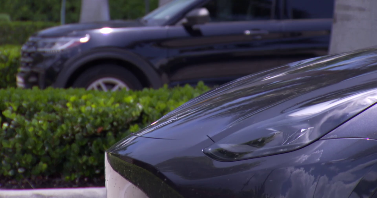 Naples police urge parents to act fast as hot car deaths reported in Florida