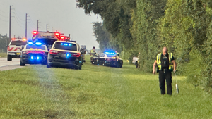 Teenager Dies in Single-Vehicle Crash on US-17 in DeSoto County