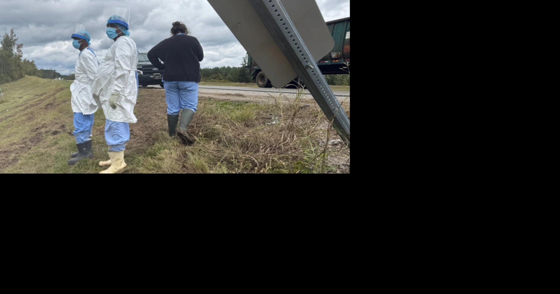 Records: Monkeys in Mississippi highway crash were in transit to Maryland research facility