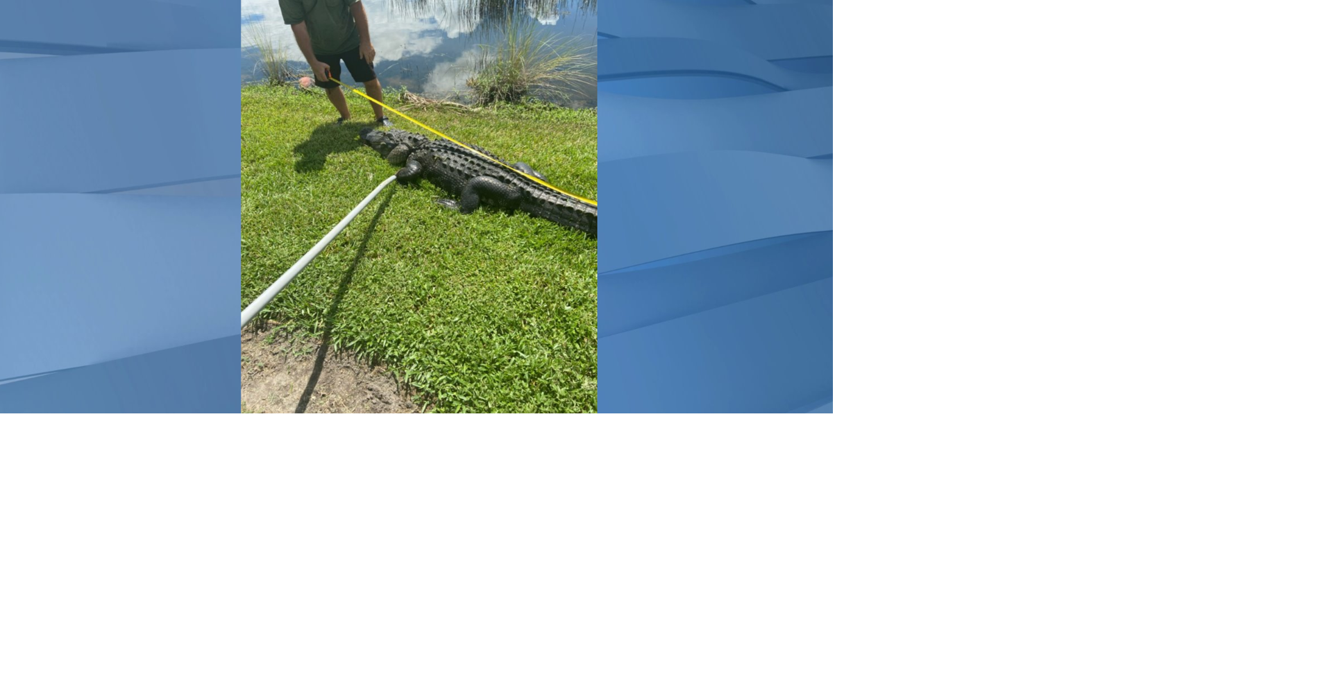 www.winknews.com
