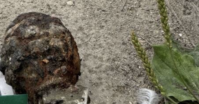 Canadian Armed Forces identify grenade found near Selkirk