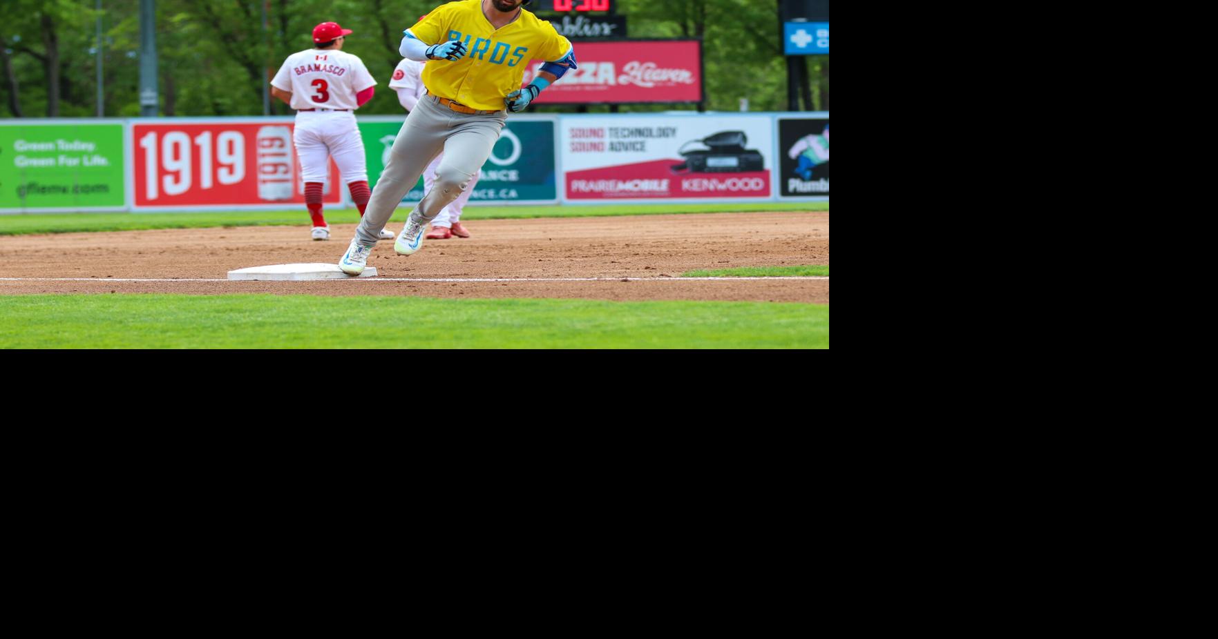 Sioux Falls Canaries defeat Winnipeg Goldeyes 10 to 4