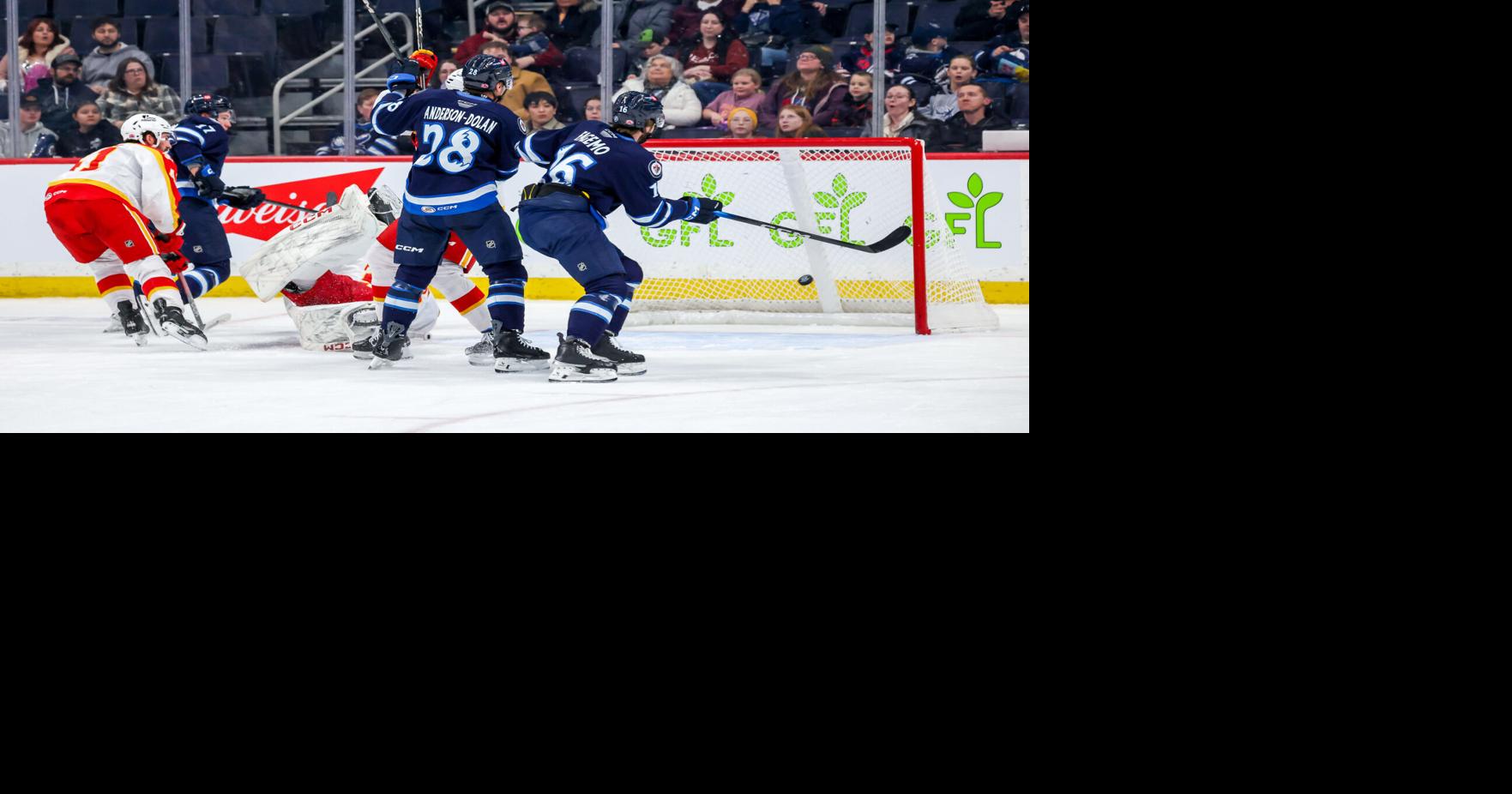 Coming to the defence of the AHL’s Manitoba Moose | Sports