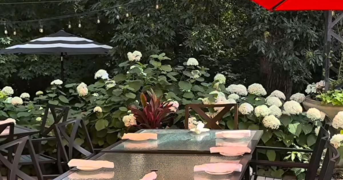 HAL'S KITCHEN: Winnipeg’s most magical patio?