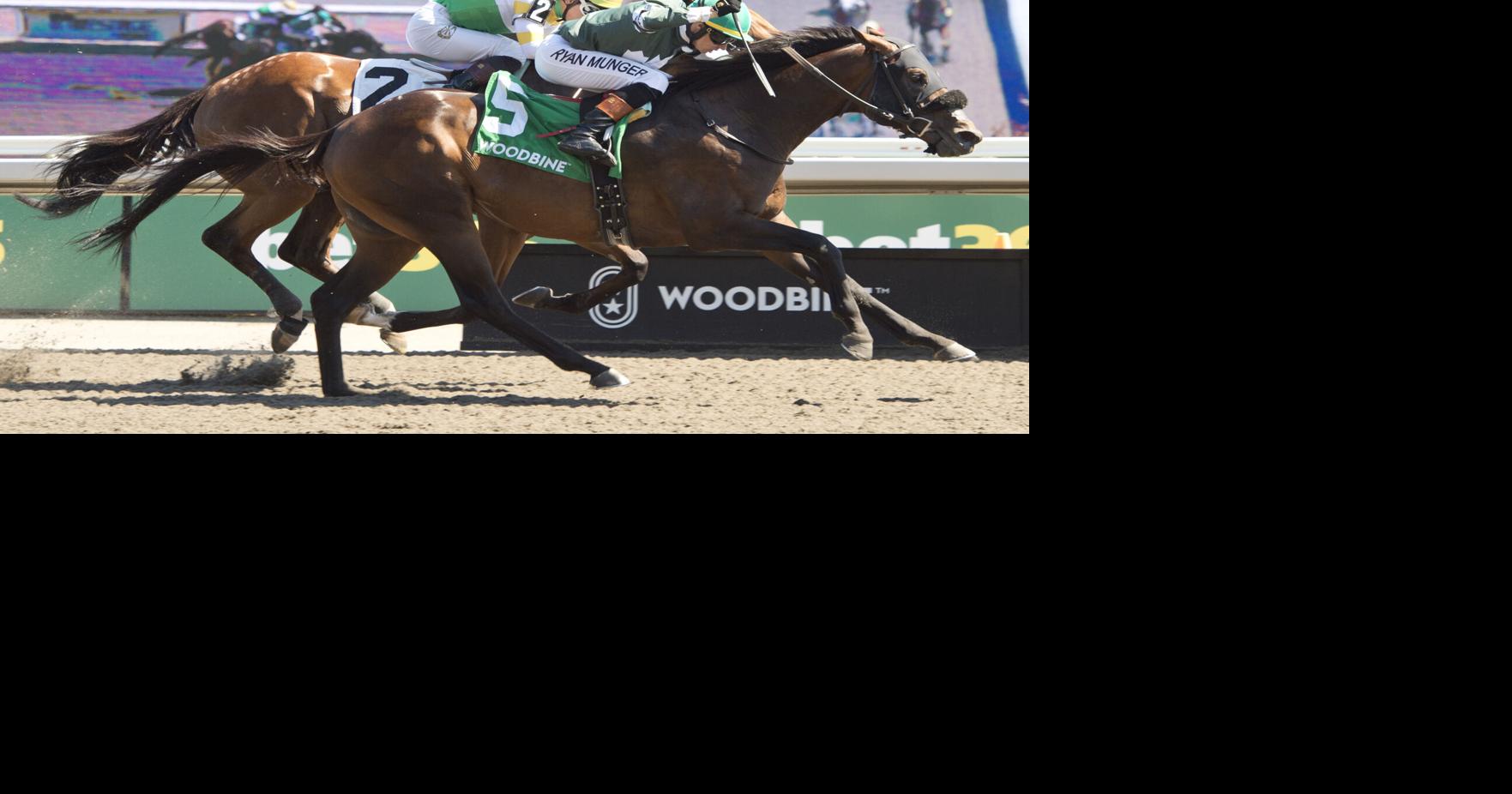 Brachetto with the great Ryan Munger aboard wins the Marine Stakes at Woodbine.jpg.jpeg