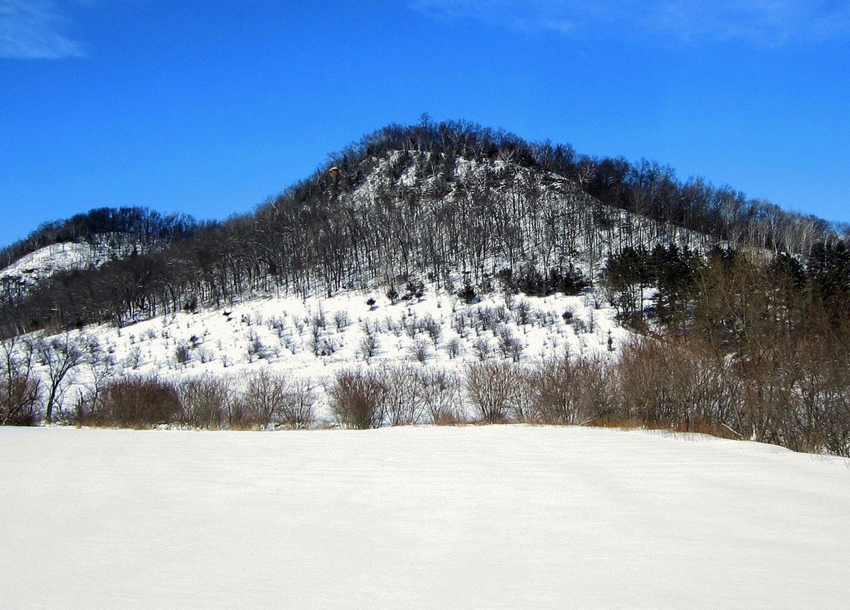 Minnesota Land Trust protects land along Root River