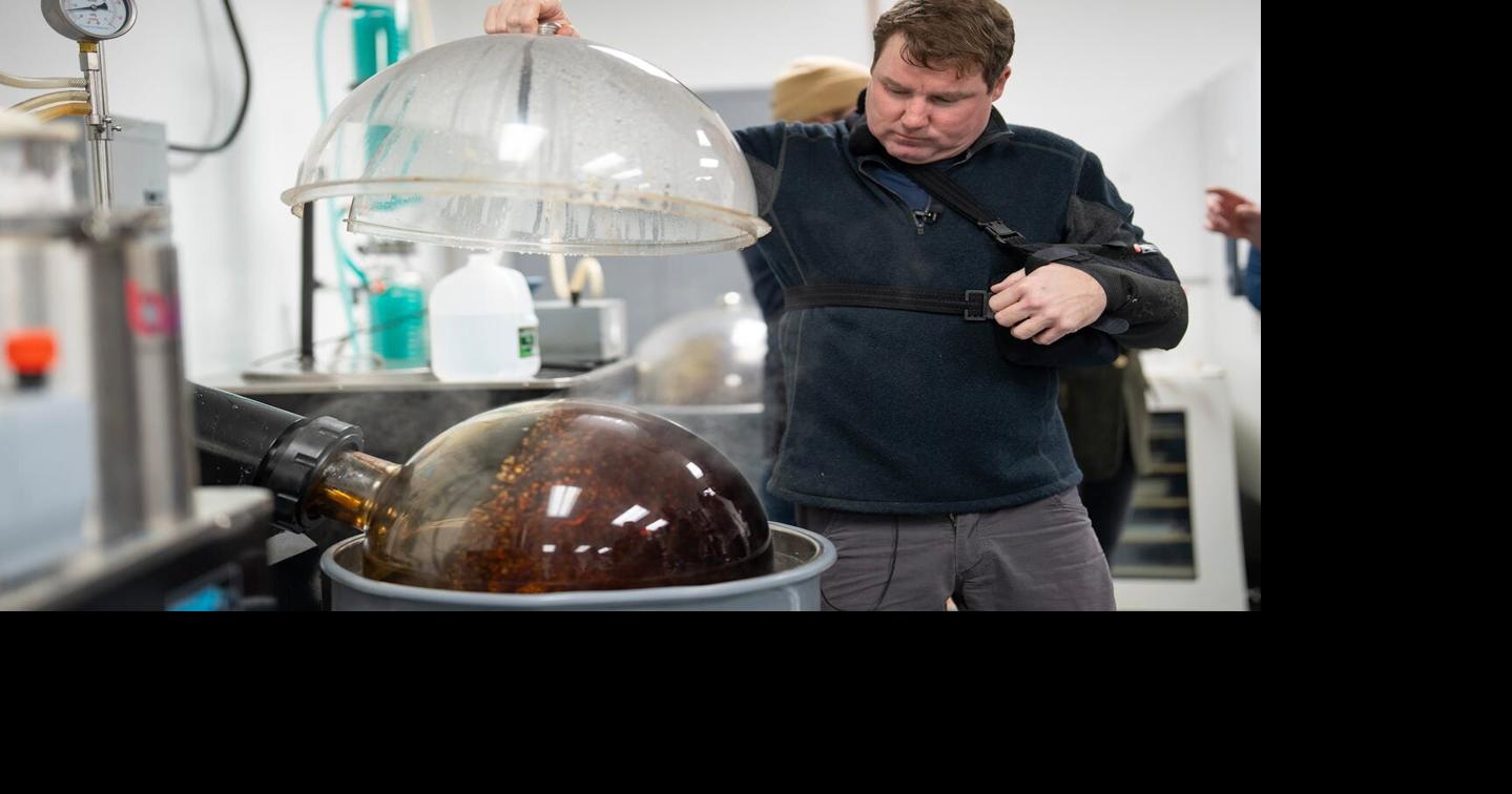 Minnesota’s hemp rules could offer a model for federal regulation as ban looms