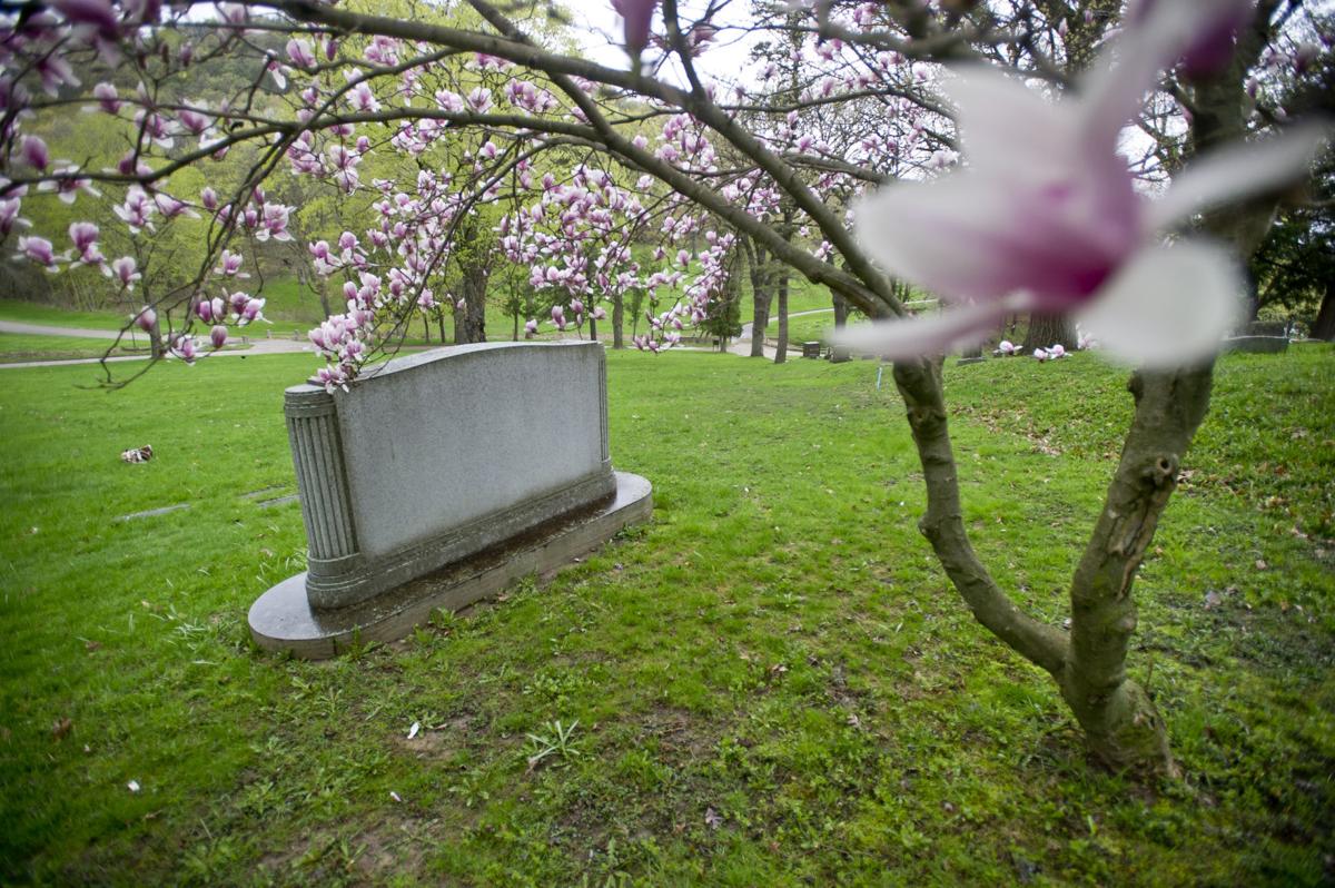 If you're lucky, burial plot could be yours Woodlawn Cemetery to award
