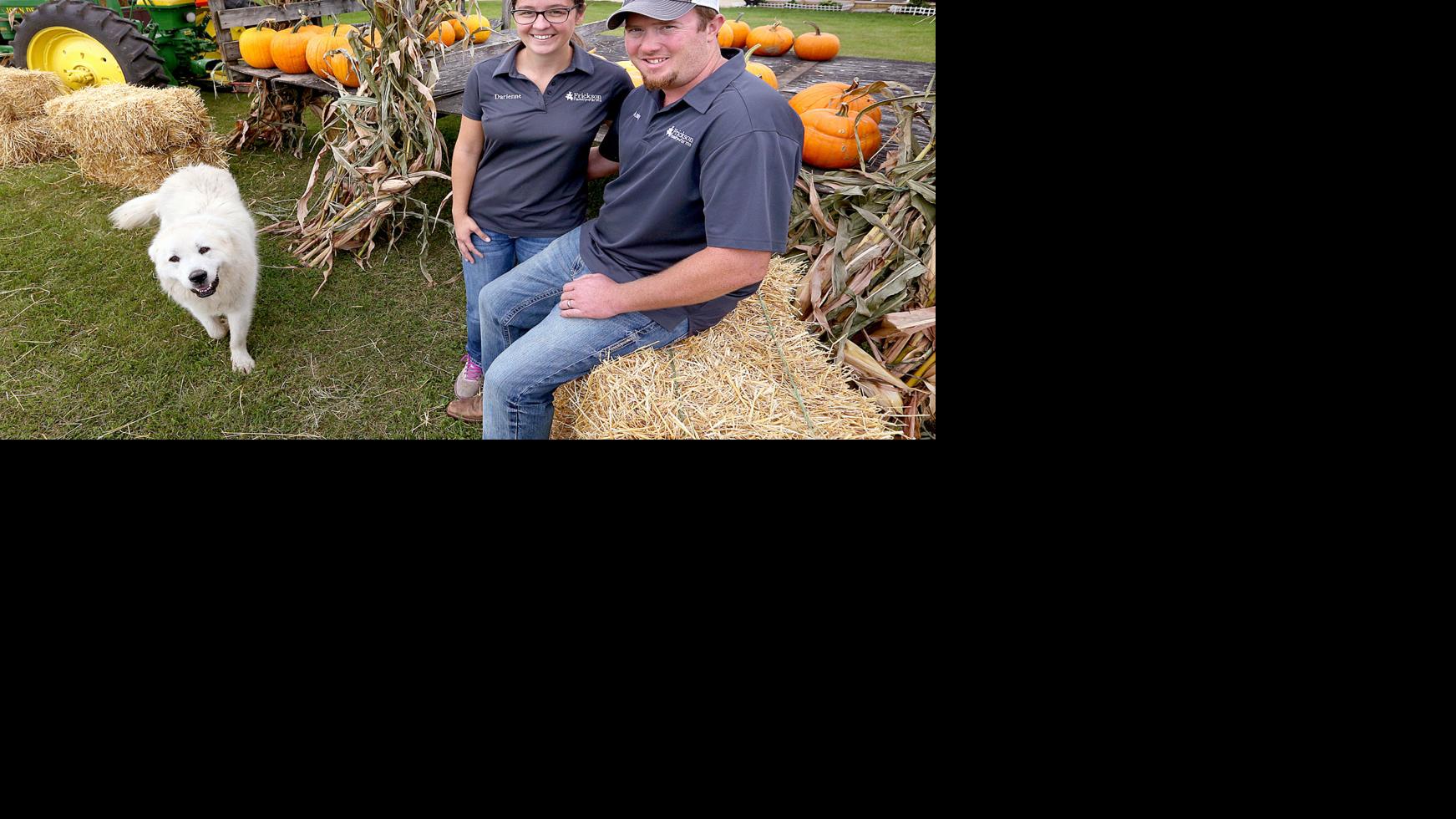 Rural Dakota farm couple’s switch to direct marketing has gone well | Local