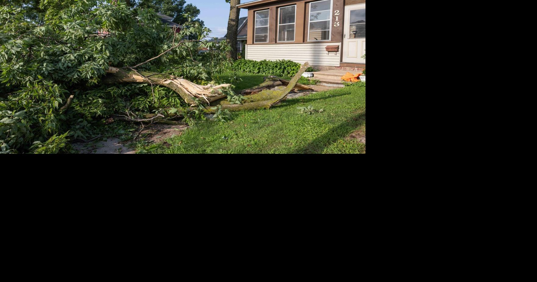 PHOTOS: Severe storm downs trees, causes power outages in Coulee Region
