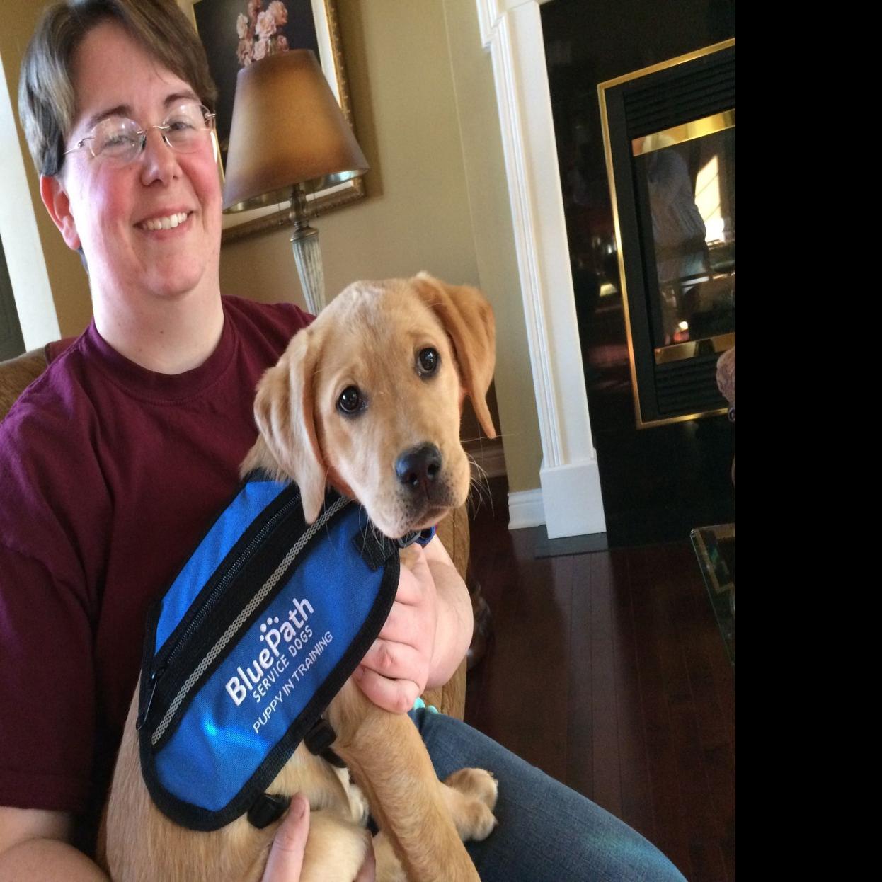 Service Dogs For Autistic Kids Kids Matttroy