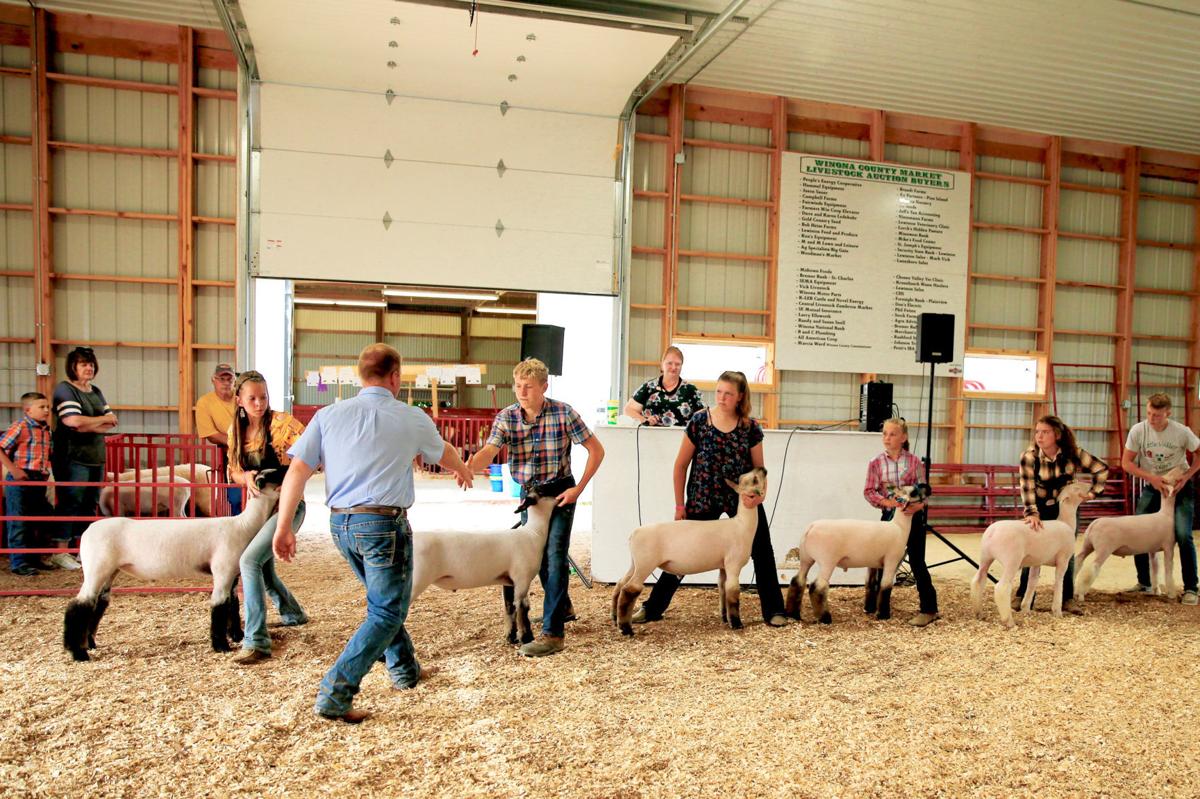Winona County Fair Schedule 2022