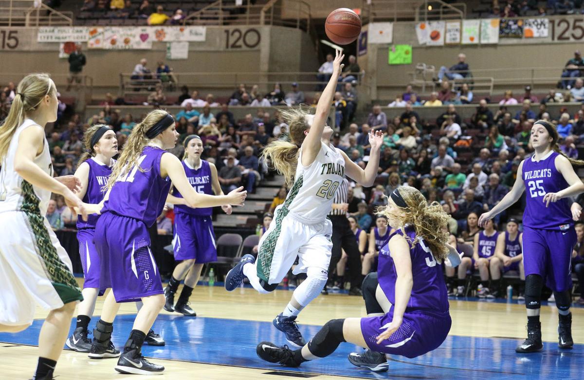 Goodhue Ends R P Girls Run To State High School