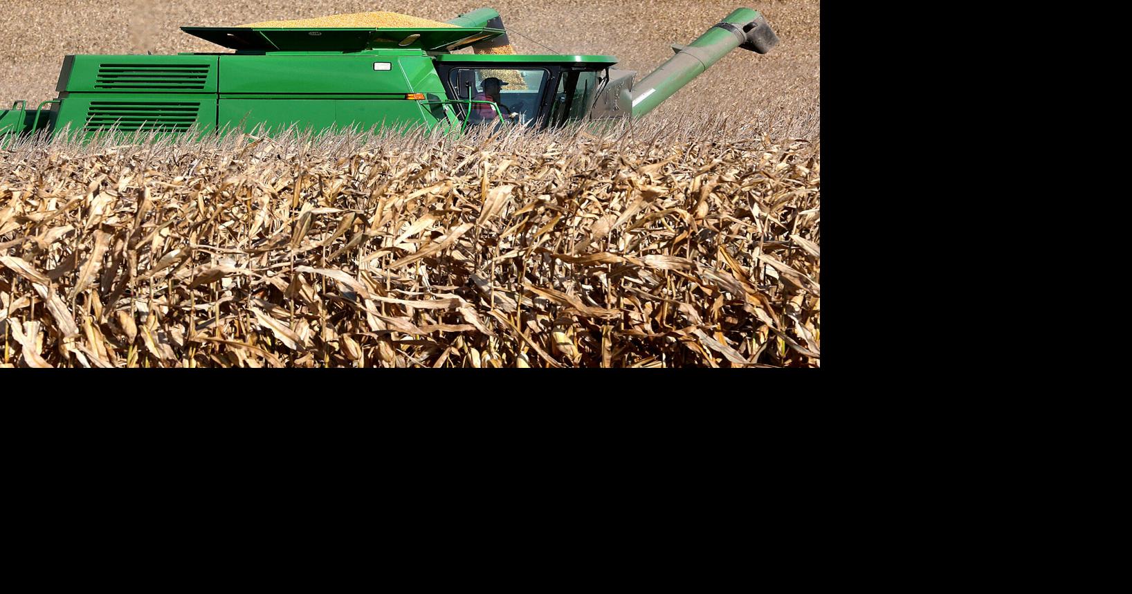 Estimated corn and soybean yields from 2023 decreased in both Fillmore ...