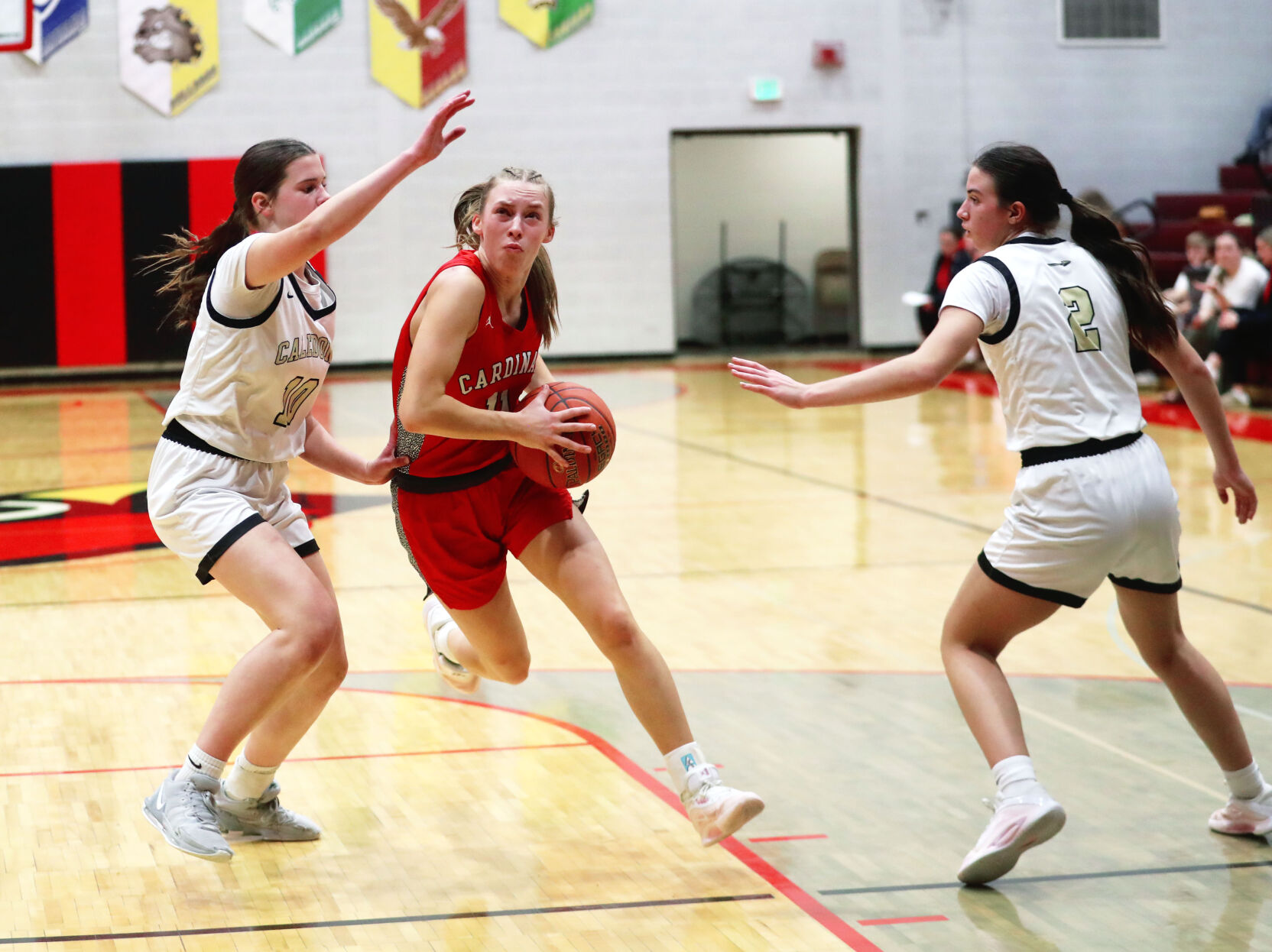 Photos LewistonAltura girls basketball falls to Caledonia
