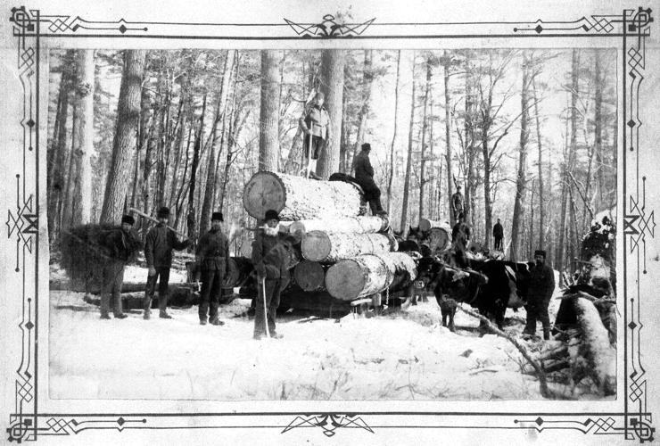 Logging camp-loaded
